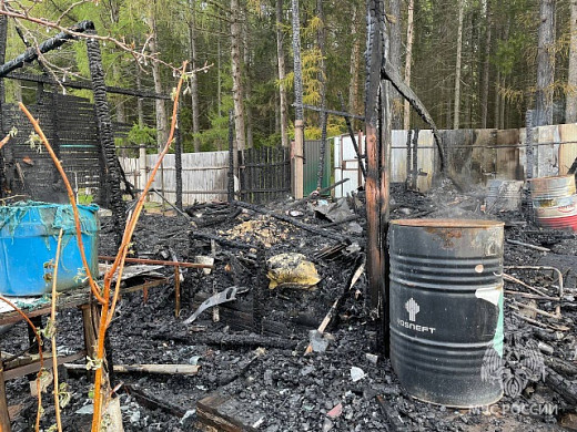 2 садовых домика и секционные сараи сгорели дотла в Бибирево и Иванове